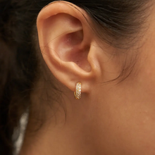 Load image into Gallery viewer, White Crystal Earring