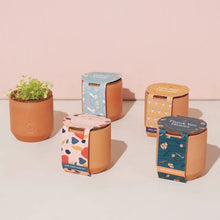 Load image into Gallery viewer, Tiny Terracotta | Daisies