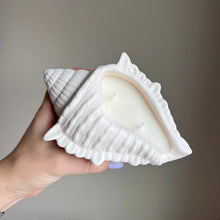 Load image into Gallery viewer, Conch Shell Candle