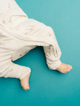 Load image into Gallery viewer, Silly Goose Bamboo Sleeper