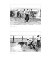 Load image into Gallery viewer, West: The American Cowboy