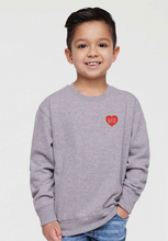 Load image into Gallery viewer, Boston Youth Icon Sweatshirt | Grey