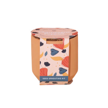 Load image into Gallery viewer, Tiny Terracotta | Champagne Poppies