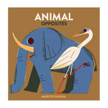 Load image into Gallery viewer, Animal Opposites
