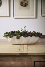 Load image into Gallery viewer, Coastline Trough