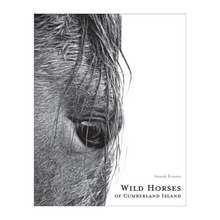 Load image into Gallery viewer, Wild Horses of Cumberland