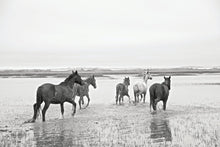 Load image into Gallery viewer, Wild Horses of Cumberland
