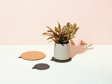 Load image into Gallery viewer, Plant Trivet Set
