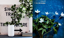 Load image into Gallery viewer, Inspired By Nature