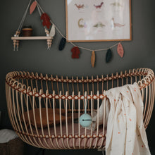 Load image into Gallery viewer, Swaddle Blanket | Dinosaurs
