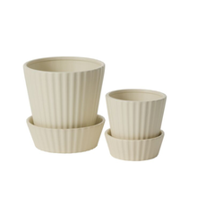 Load image into Gallery viewer, Quincy Pot w/Saucer | 2 Sizes
