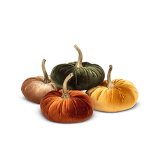 Load image into Gallery viewer, Velvet Pumpkin | 2 Sizes | 4 Colors
