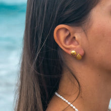 Load image into Gallery viewer, Beachcomber Stud Earrings
