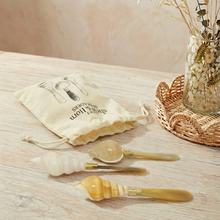 Load image into Gallery viewer, Seashell Spreaders | Set of 3
