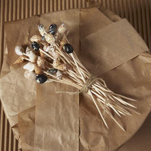 Load image into Gallery viewer, Shell Hors D'Oeuvre Long Picks
