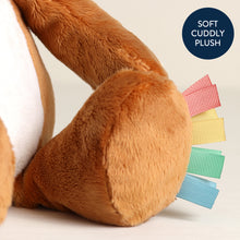 Load image into Gallery viewer, Sweetie Snuggles™ Plush | Fox
