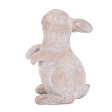 Load image into Gallery viewer, Resin Bunny | 2 Styles
