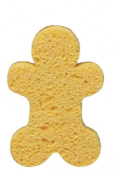 Holiday Icon Shaped Sponge | 6 Styles