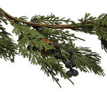 Load image into Gallery viewer, 72&quot;L Faux Cypress Garland w/Natural Pinecones + Berries
