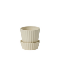 Load image into Gallery viewer, Quincy Pot w/Saucer | 2 Sizes
