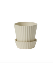Load image into Gallery viewer, Quincy Pot w/Saucer | 2 Sizes
