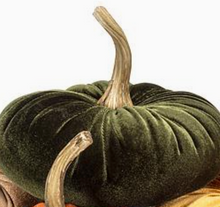 Load image into Gallery viewer, Velvet Pumpkin | 2 Sizes | 4 Colors

