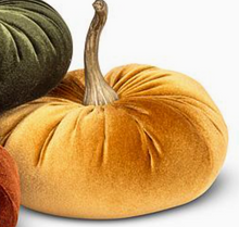Load image into Gallery viewer, Velvet Pumpkin | 2 Sizes | 4 Colors
