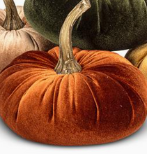 Load image into Gallery viewer, Velvet Pumpkin | 2 Sizes | 4 Colors
