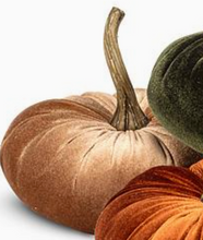 Load image into Gallery viewer, Velvet Pumpkin | 2 Sizes | 4 Colors
