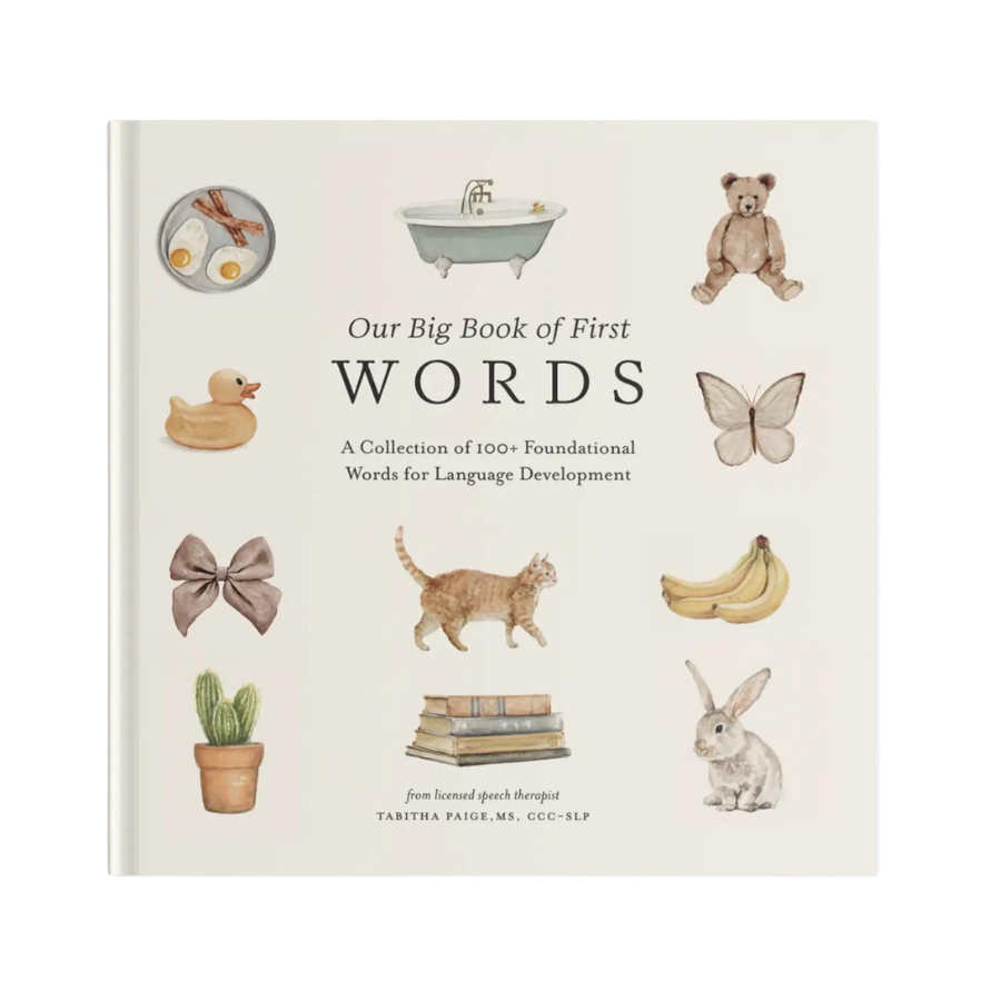 Our Big Book of First Words