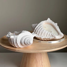Load image into Gallery viewer, Conch Shell Candle
