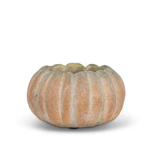 Load image into Gallery viewer, Cement Pumpkin Planter | 3 Sizes
