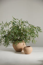 Load image into Gallery viewer, Kastanos Vase | 2 Sizes
