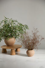 Load image into Gallery viewer, Kastanos Vase | 2 Sizes
