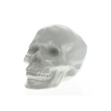 Load image into Gallery viewer, White Ceramic Skull
