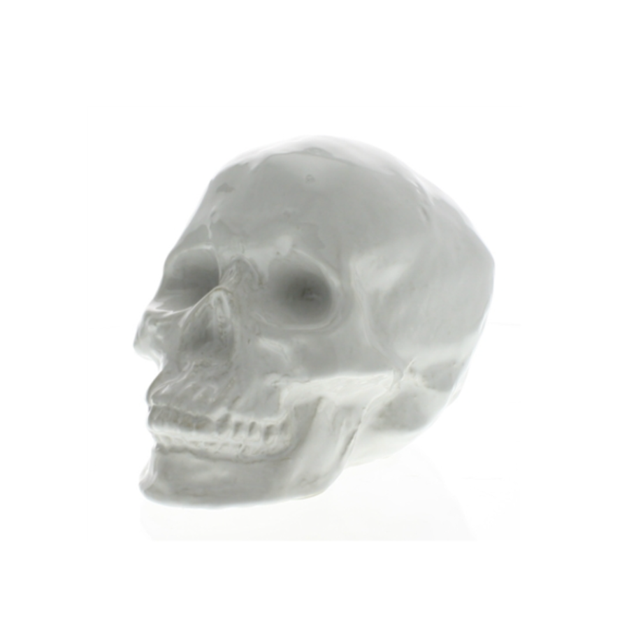 White Ceramic Skull