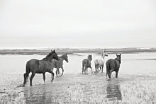 Load image into Gallery viewer, Wild Horses of Cumberland
