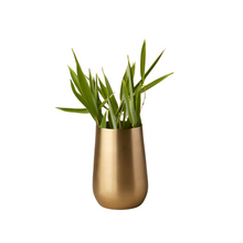 Load image into Gallery viewer, Satin Gold Sloped Vase | 2 Sizes
