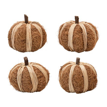 Load image into Gallery viewer, Dried Natural Coco Fiber Pumpkins
